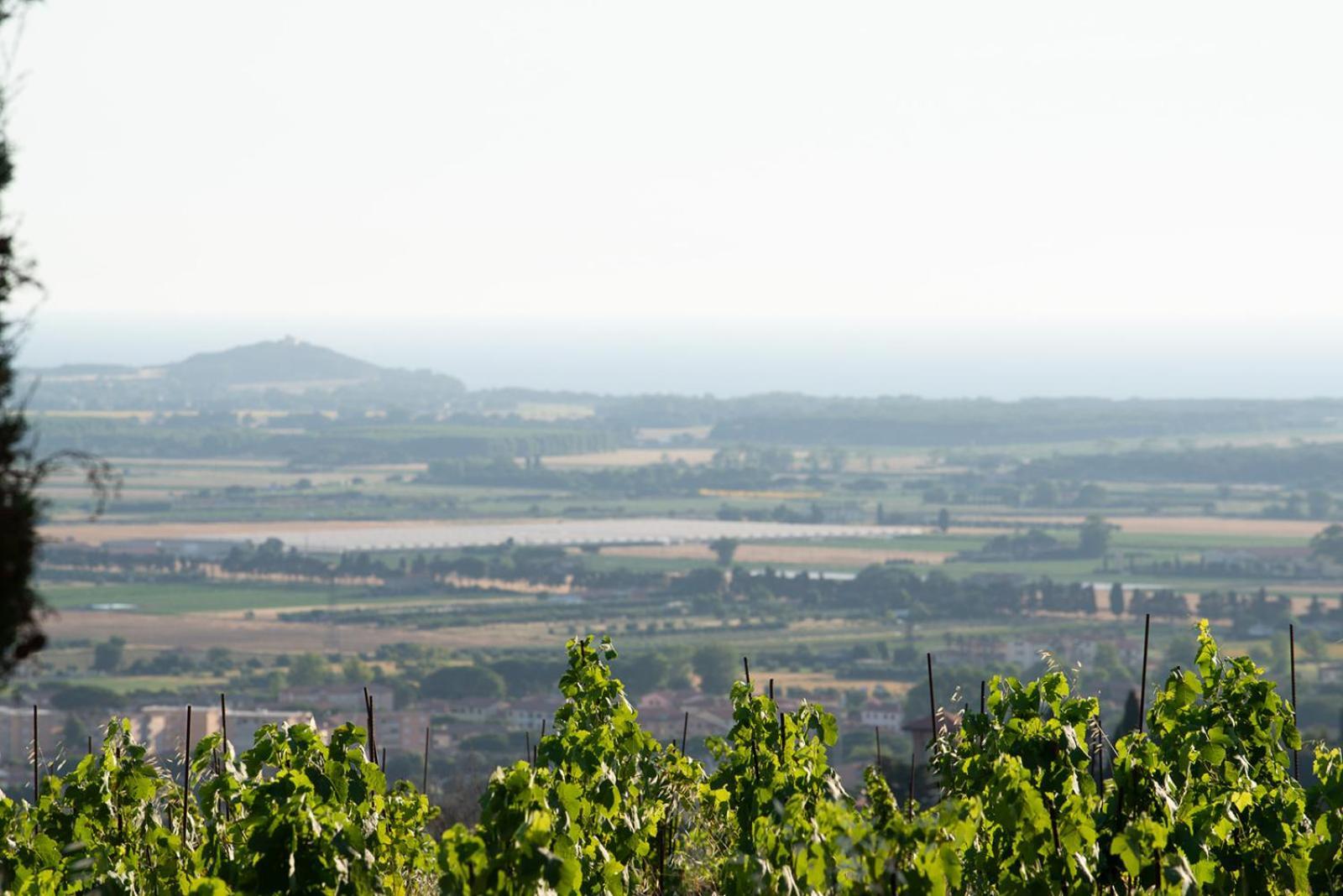 Castello Bonaria Wine & Spa Resort Campiglia Marittima Luaran gambar
