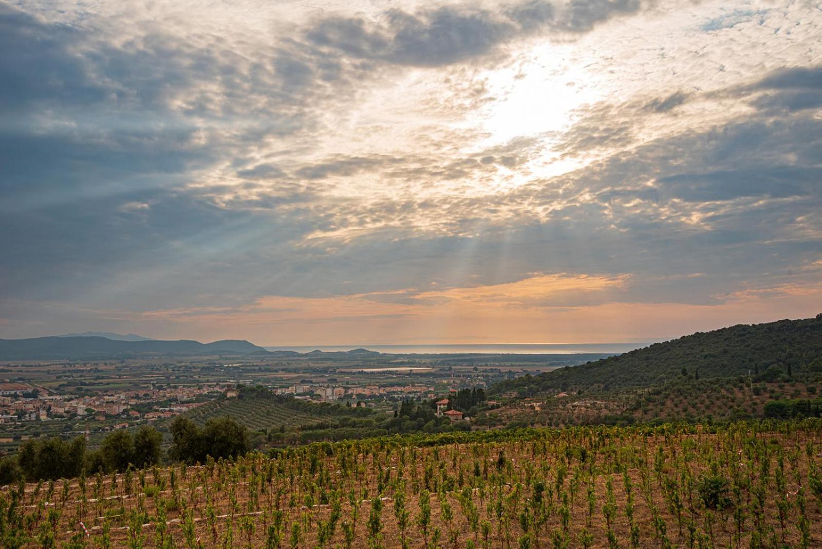 Castello Bonaria Wine & Spa Resort Campiglia Marittima Luaran gambar